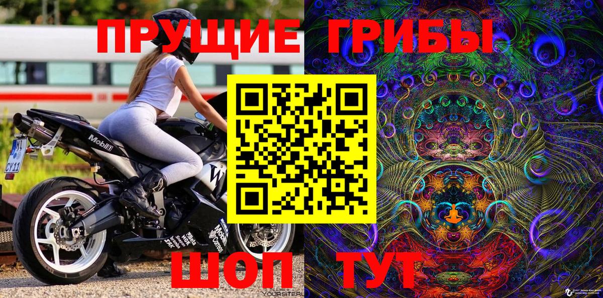 Галлюциногенные грибы прущие грибы  цена наркотик  Вход с VPN  Миллерово  Галлюциногенные грибы Magic Shrooms 
